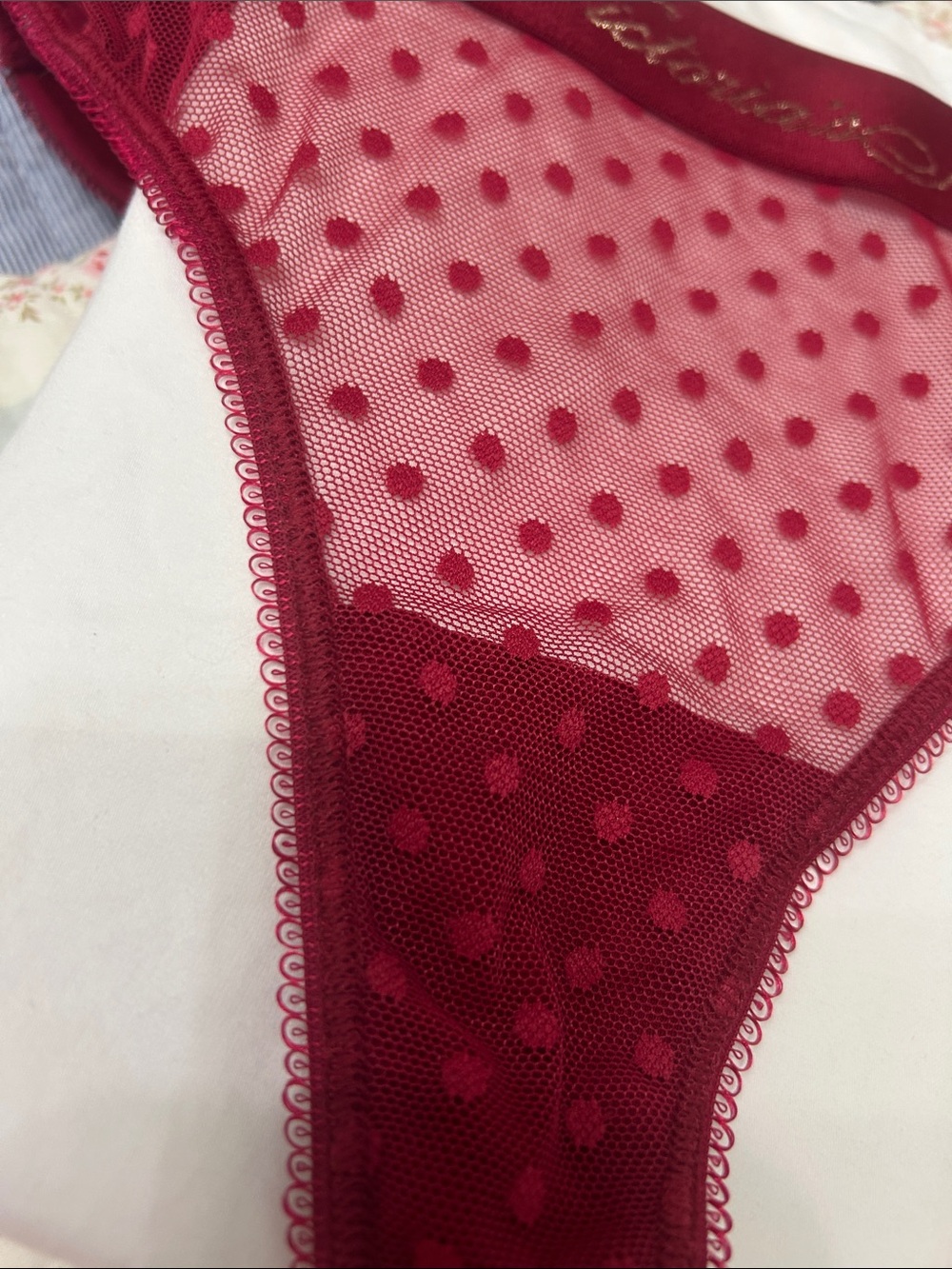 NWT BUNDLE of 3 thong panties Victoria’s Secret underwear velvet Swiss dot SZ L - Picture 4 of 11